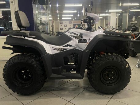 2024 Bashan Explorer 300, белый, 359000 рублей, вид 2