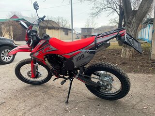 2025 Motoland XR300, красный, 135000 рублей, вид 3