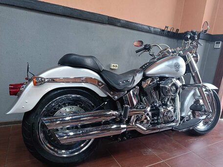 2009 Harley-Davidson Fat Boy, серый, 870000 рублей, вид 2