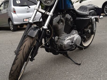 2009 Harley-Davidson Sportster 883, синий, 525000 рублей, вид 1