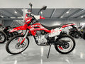 2025 JHL SX150, красный, 119990 рублей