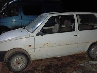 2006 Lada (ВАЗ) 1111 Ока КамАЗ, белый, 95000 рублей, вид 2