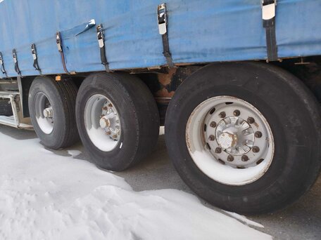 1999 Schmitz Cargobull S01, синий, 850000 рублей, вид 5