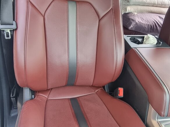 2019 Ford F-150 XIII Рестайлинг, белый, 4315000 рублей - вид 10