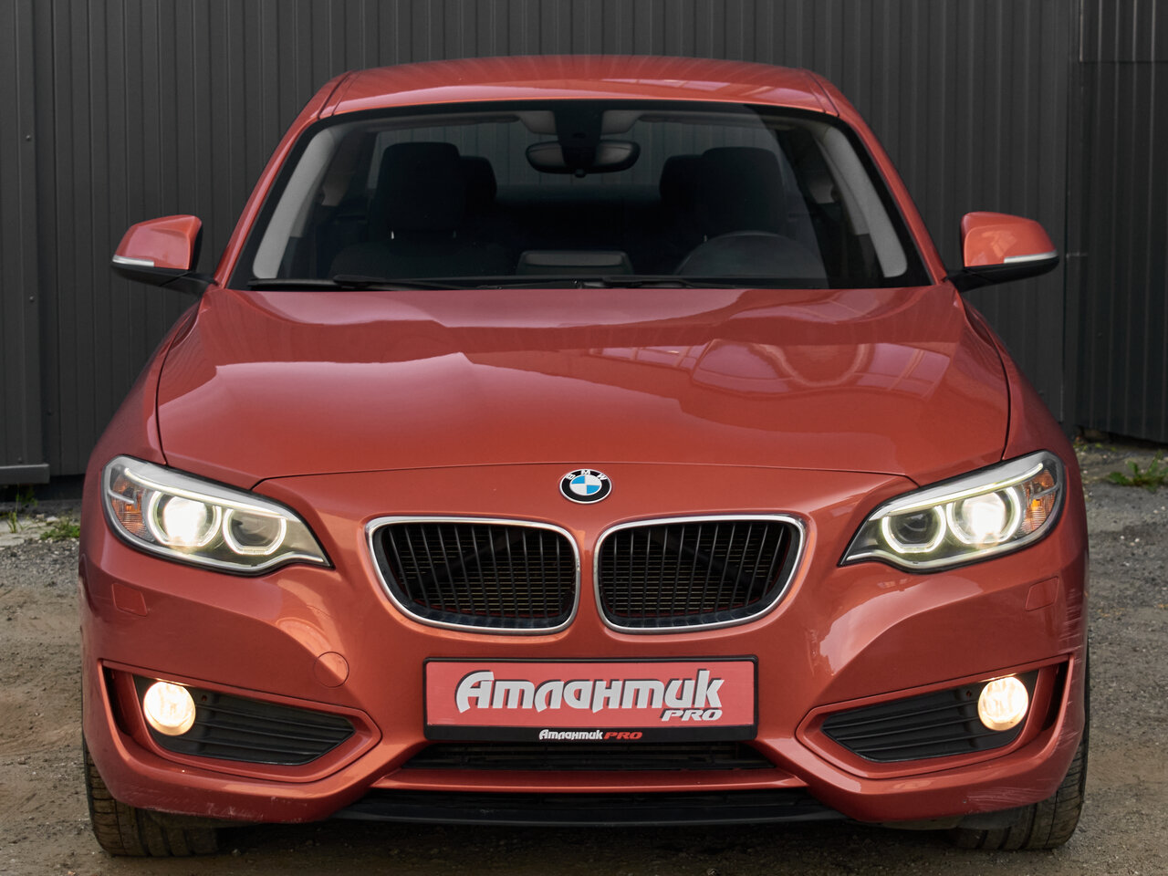 Купить BMW 2 серии 220i 2.0 AT (184 л.с.), 2014 в Екатеренбурге