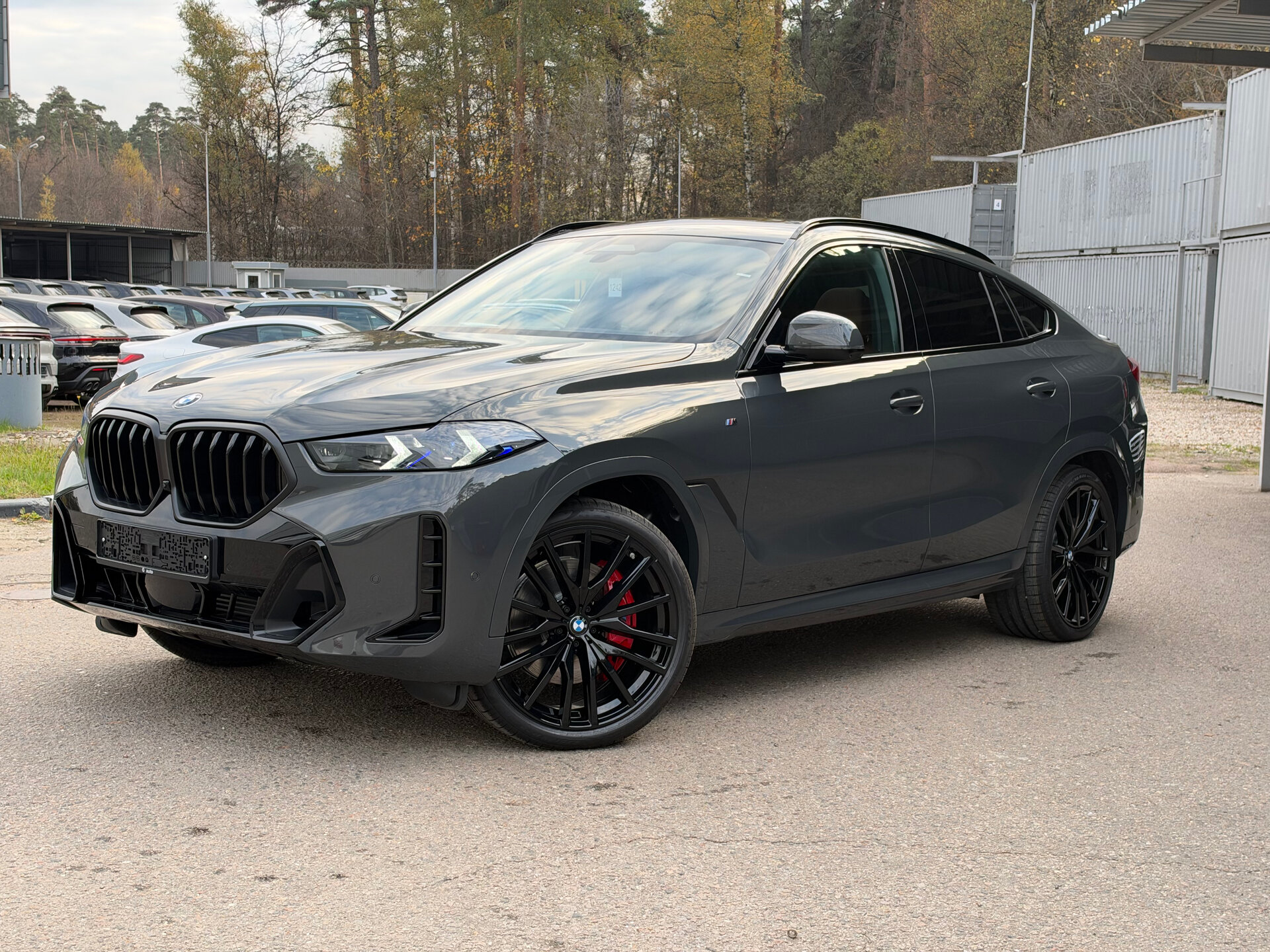 Автомобиль BMW X6 30d 3.0d AT (286 л.с.) 4WD - 1