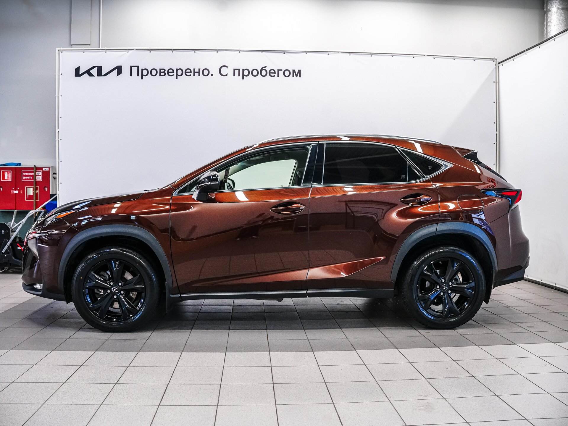 Lexus NX 2017 8