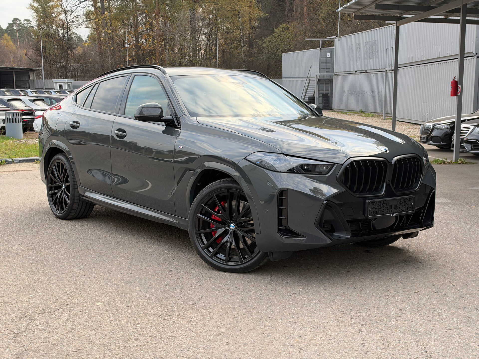 Автомобиль BMW X6 30d 3.0d AT (286 л.с.) 4WD - 10