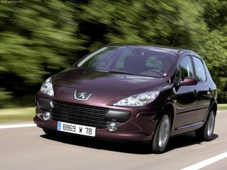 2007 Peugeot 307 I Рестайлинг, серый, 570000 рублей, вид 1