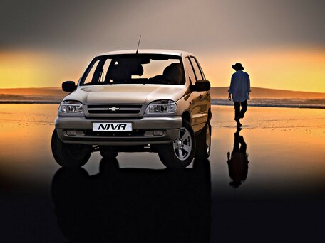 2008 Chevrolet Niva I, красный, 345000 рублей - вид 2