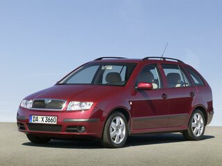 2002 Skoda Fabia I, серый, 250000 рублей, вид 1