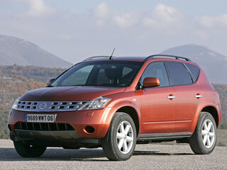 2004 Nissan Murano I (Z50), оранжевый, 960000 рублей, вид 1