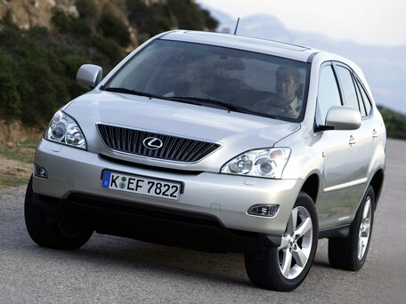 2004 Lexus RX 300 II, серый, 1250000 рублей - вид 2