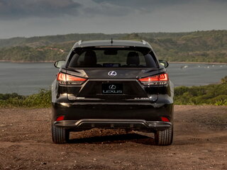 2021 Lexus RX 300 IV Рестайлинг, серый, 4150000 рублей, вид 4