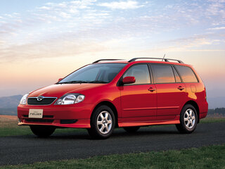 2002 Toyota Corolla Fielder IX (E120, E130), серый, 570000 рублей, вид 1