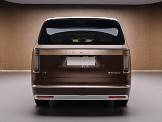 2026 Maextro V 800, коричневый, 26450000 рублей, вид 4