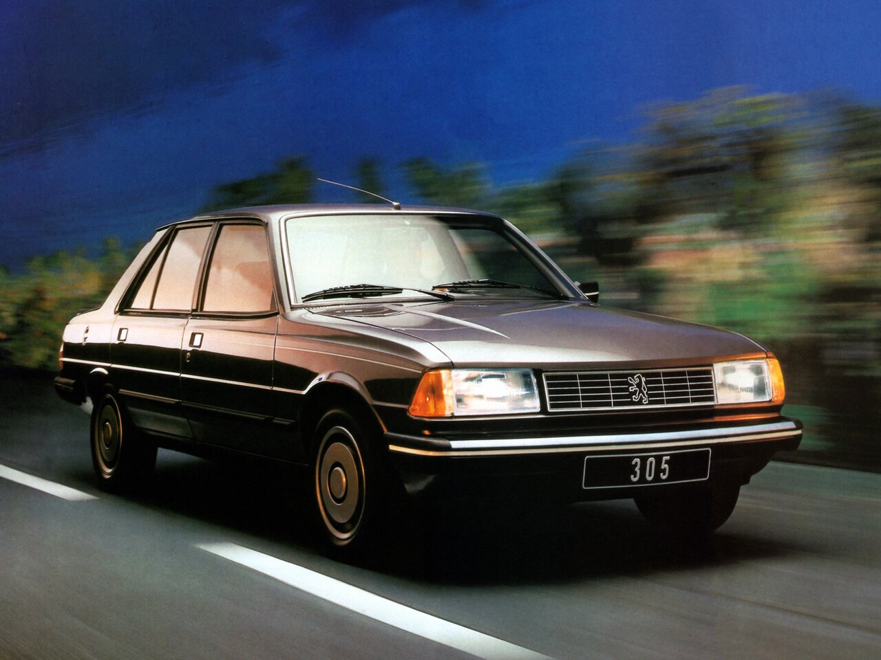 Peugeot 305 Основной вид