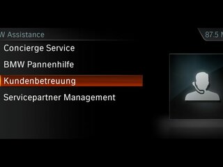 BMW TeleServices
