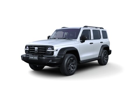 Tank 300 I