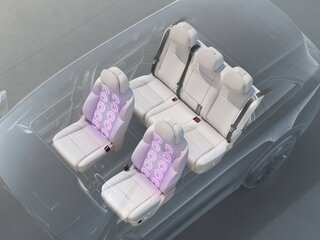 SPA-массаж, 10-точечный (спинка)
