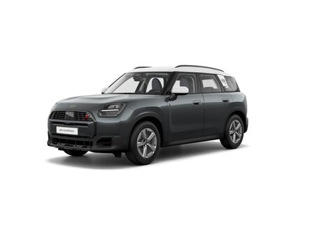 Mini Countryman III