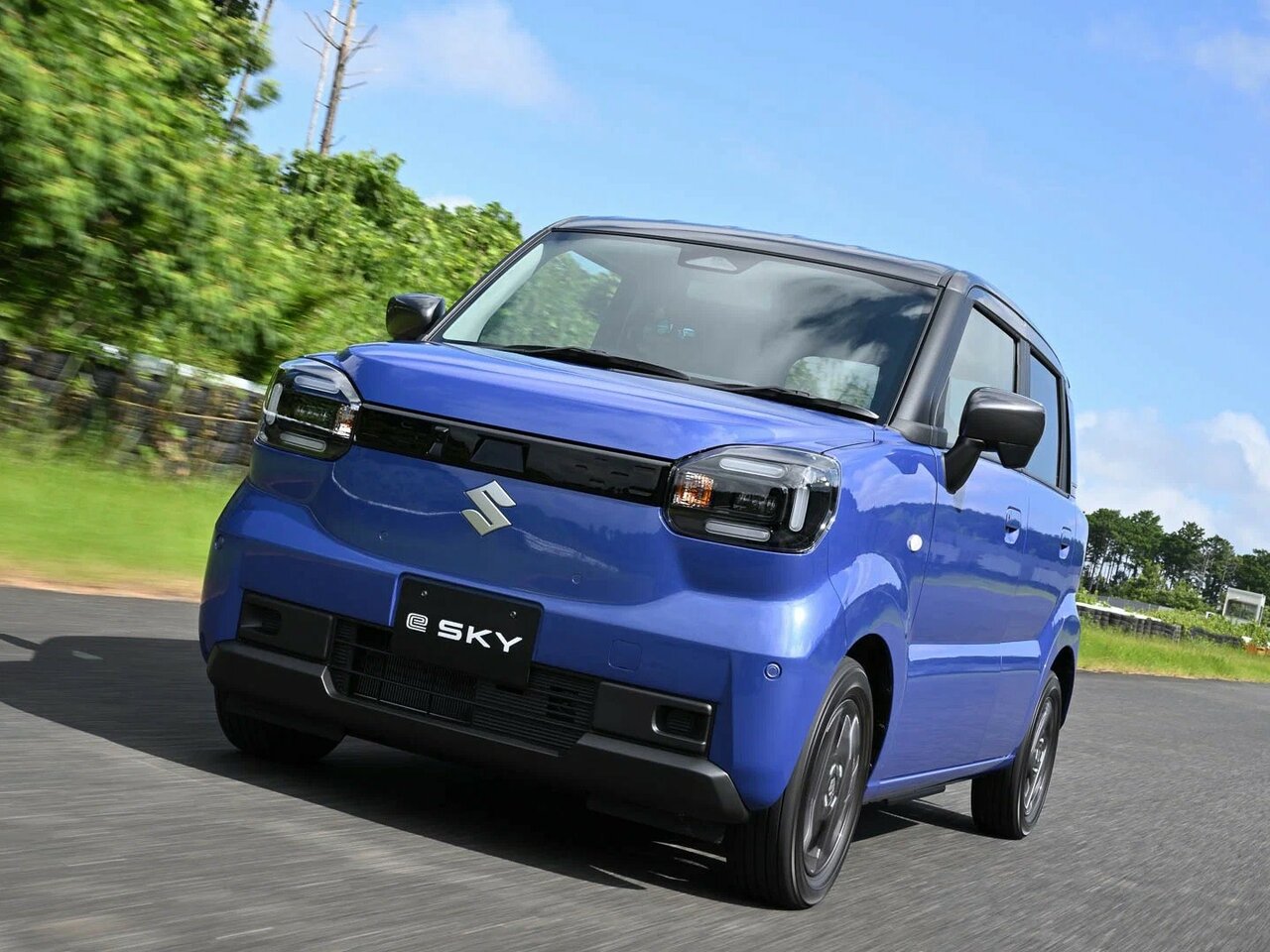 Suzuki e Sky Основной вид