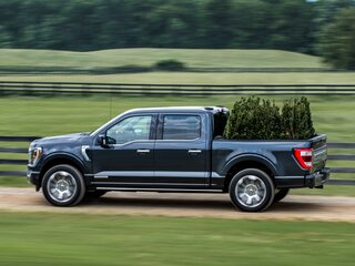 2023 Ford F-150 SuperCrew Shelby XIV, синий, 18300000 рублей, вид 2