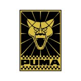 Изображение Puma GTE