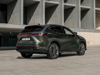 2026 Lexus NX 200 II, белый, 6990000 рублей, вид 5