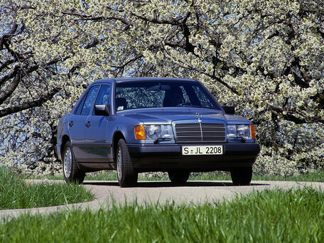 1985 Mercedes-Benz W124 200, серый - вид 2