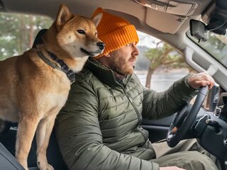 Светодиодные дневные ходовые огни