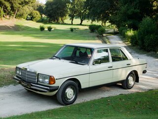 1979 Mercedes-Benz W123 250, зелёный, 380000 рублей, вид 1