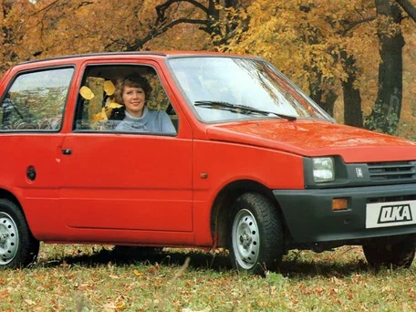 1995 Lada (ВАЗ) 1111 Ока, серый, 250000 рублей - вид 2