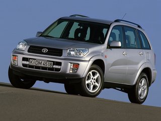 2002 Toyota RAV4 II (XA20), красный, 915000 рублей, вид 1
