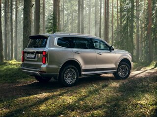 2026 Tank 500 Hi-Charge I, чёрный, 7699000 рублей, вид 5