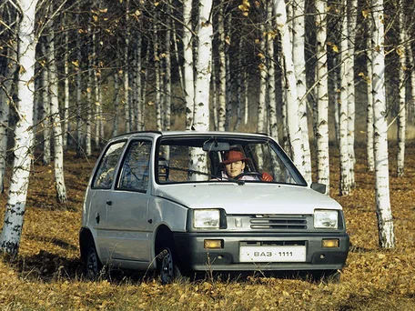 1995 Lada (ВАЗ) 1111 Ока, серый, 250000 рублей - вид 3