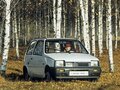 1995 Lada (ВАЗ) 1111 Ока, серый, 250000 рублей - вид 3