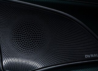 Индивидуальные динамики Dynaudio класса Hi-Fi