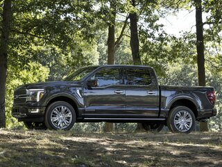 2025 Ford F-150 XIV Рестайлинг, чёрный, 10800000 рублей, вид 2