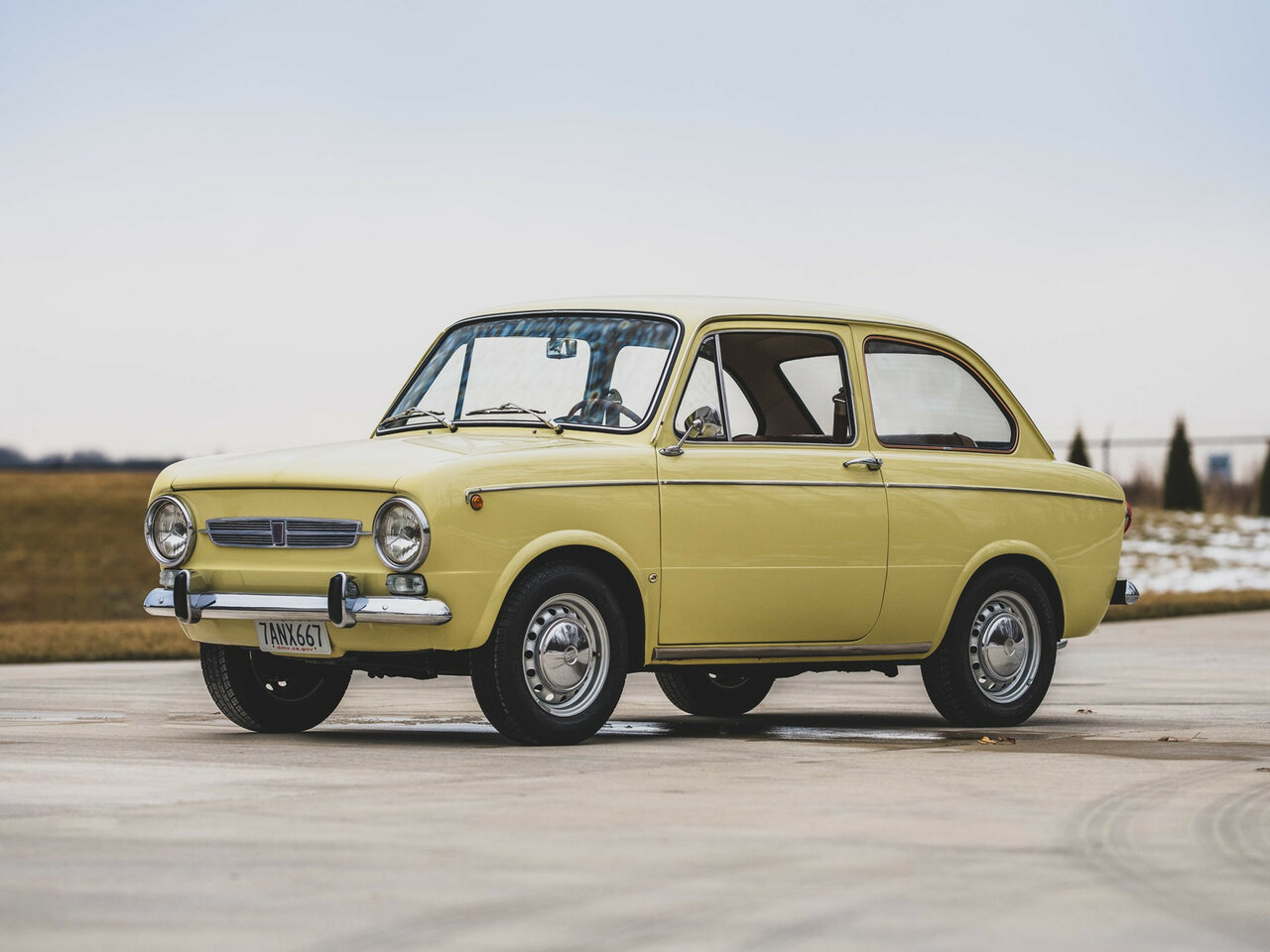 Fiat 850 Основной вид