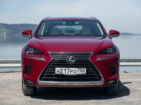 2017 Lexus NX 200 I Рестайлинг, белый, 3500000 рублей - вид 2