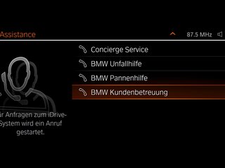BMW TeleServices