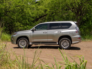 2022 Lexus GX 460 II Рестайлинг 2, серый, 12500000 рублей, вид 2