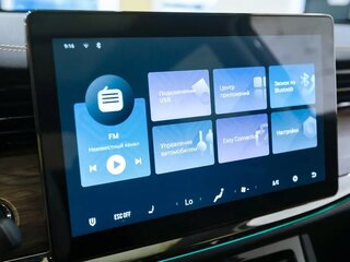 Центральный LCD дисплей: 12,8 дюймовый, сенсорный