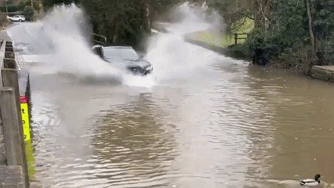 Видео: водитель Jaguar «нырнул» в огромную лужу с утками. Утки целы, машина — не совсем