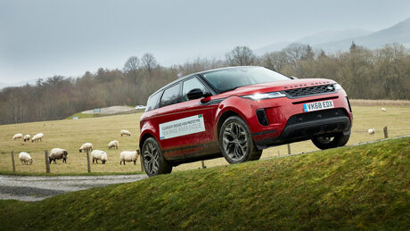 Веларификация: тест нового RR Evoque на бездорожье
