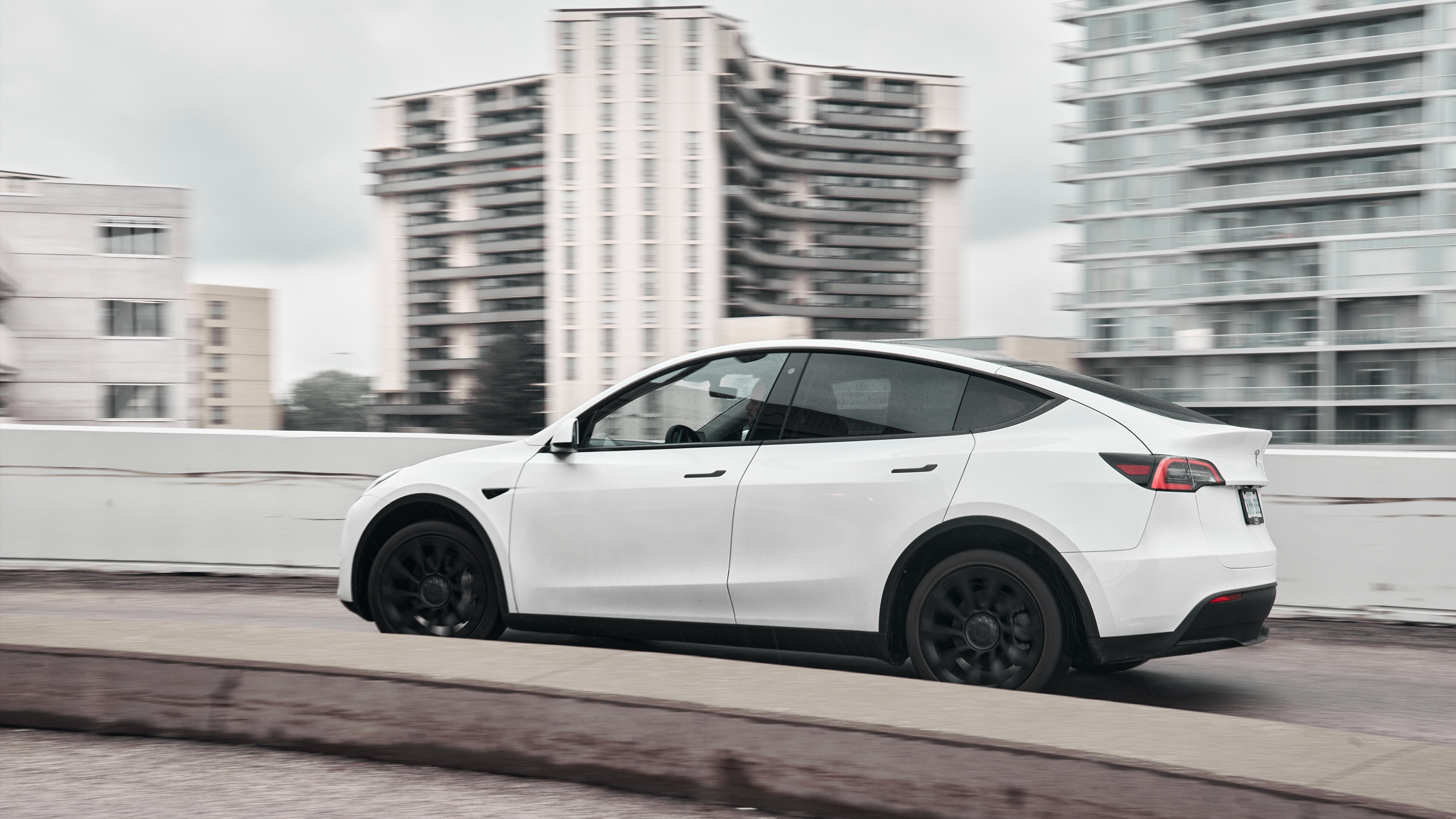 В США началось расследование из-за блокирующихся дверных ручек Tesla Model Y