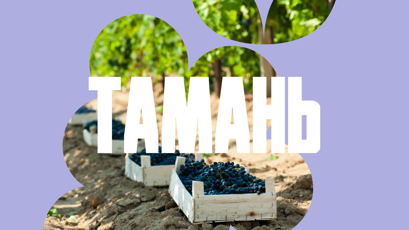 Тмутаракань и винные ванны. Гастрономический маршрут по Тамани на 4 дня