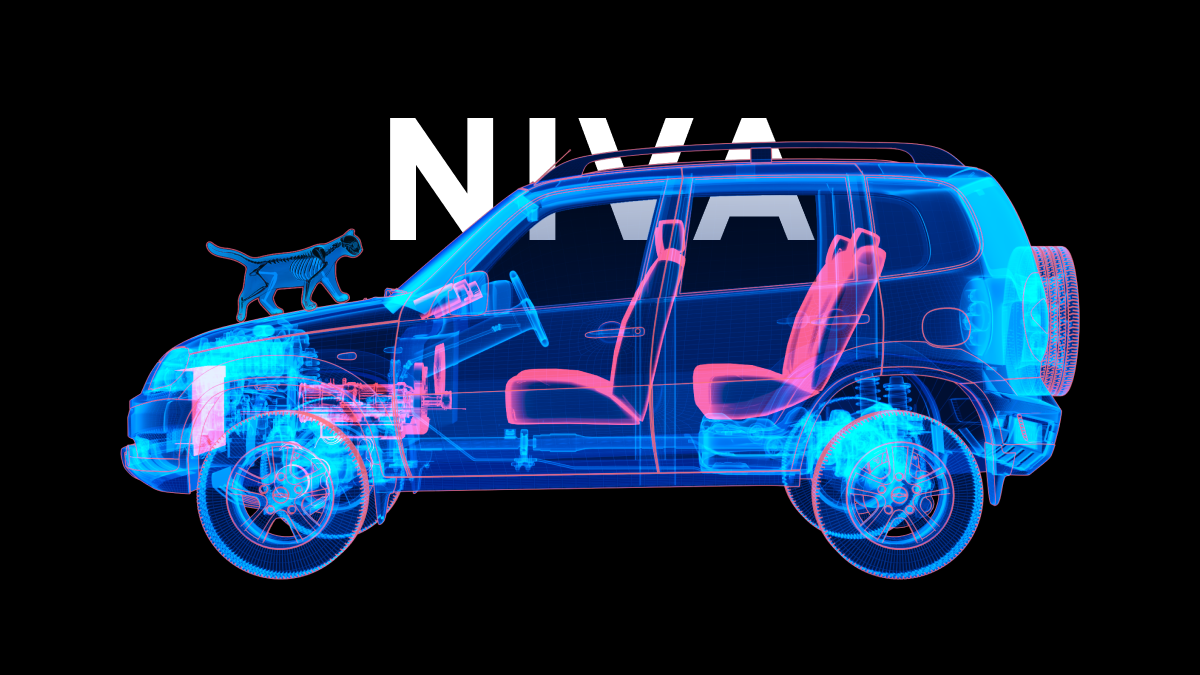 8 проблем, о которых надо знать покупателю подержанной Chevrolet Niva