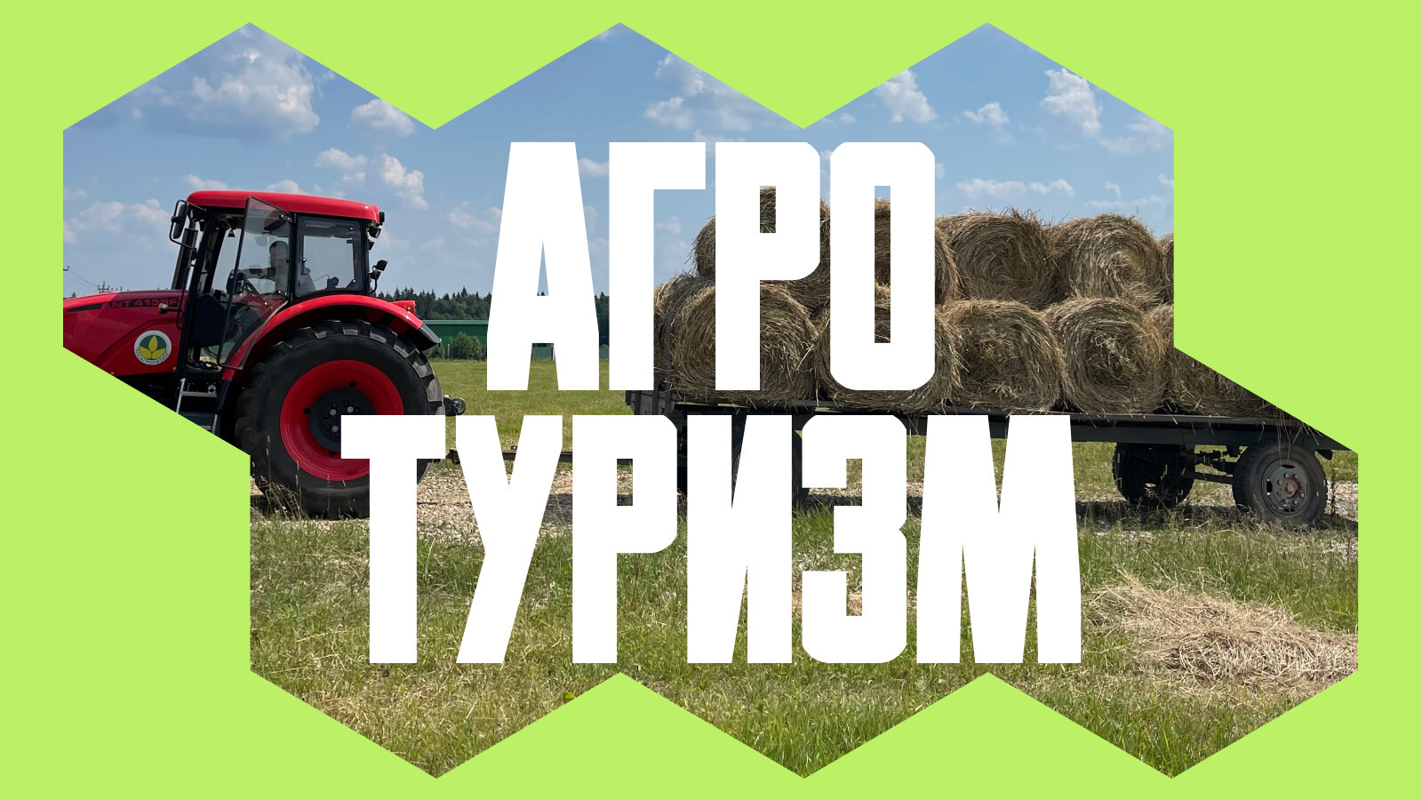 Ягоды, грибы и сыр: 5 фермерских мест, куда можно приехать на машине 